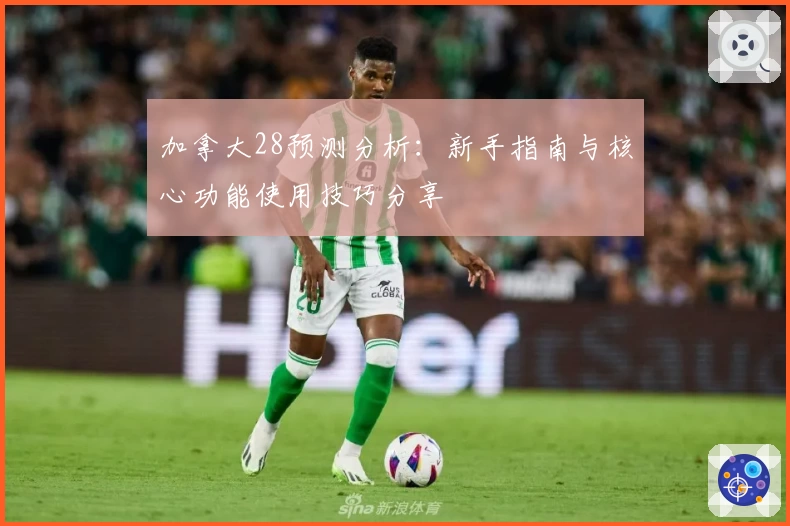 加拿大28预测分析：新手指南与核心功能使用技巧分享