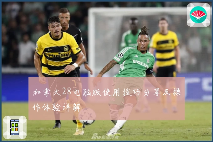 加拿大28电脑版使用技巧分享及操作体验详解