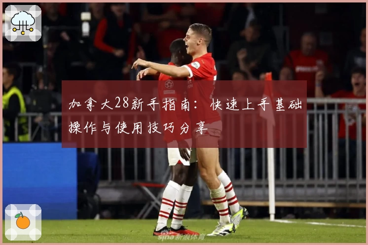 加拿大28新手指南：快速上手基础操作与使用技巧分享