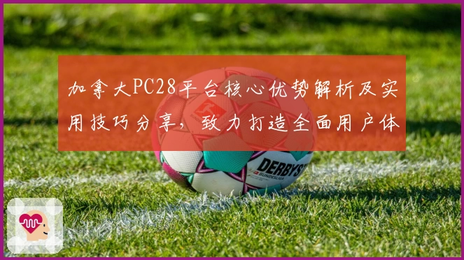 加拿大PC28平台核心优势解析及实用技巧分享，致力打造全面用户体验