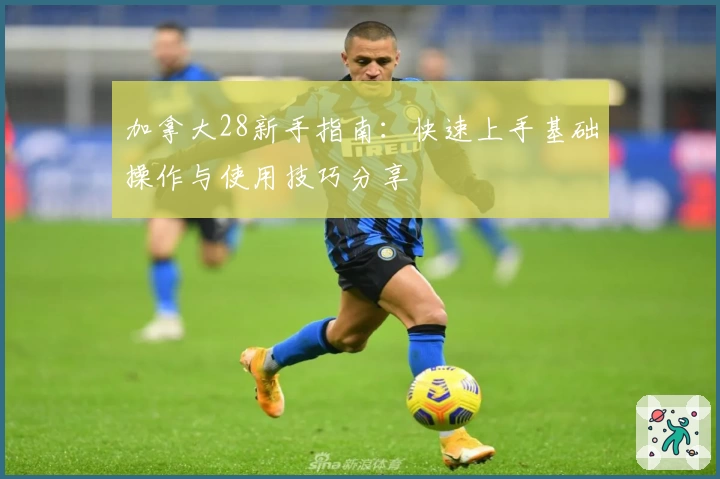 加拿大28新手指南：快速上手基础操作与使用技巧分享