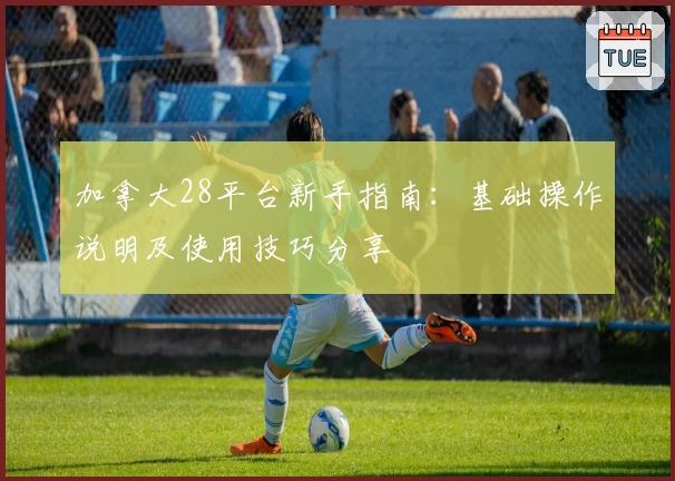 加拿大28平台新手指南：基础操作说明及使用技巧分享