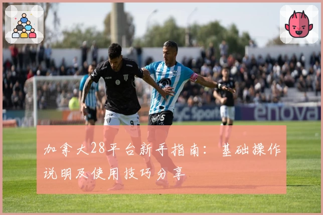 加拿大28平台新手指南：基础操作说明及使用技巧分享