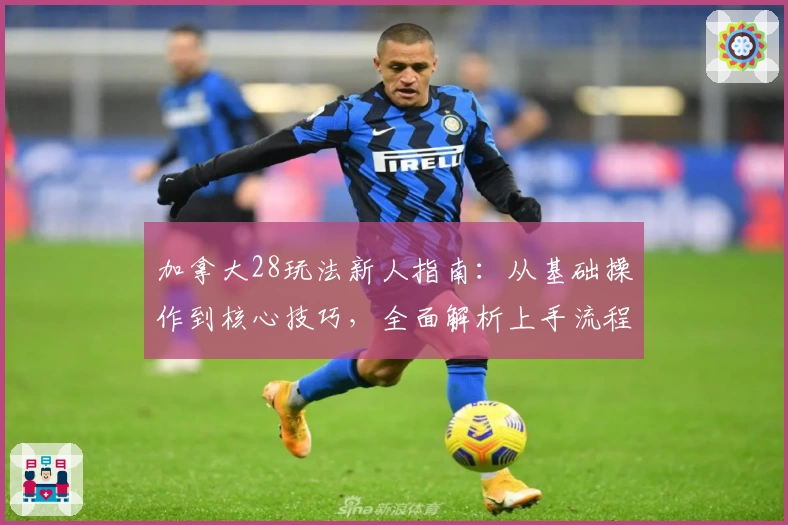 加拿大28玩法新人指南：从基础操作到核心技巧，全面解析上手流程与使用体验