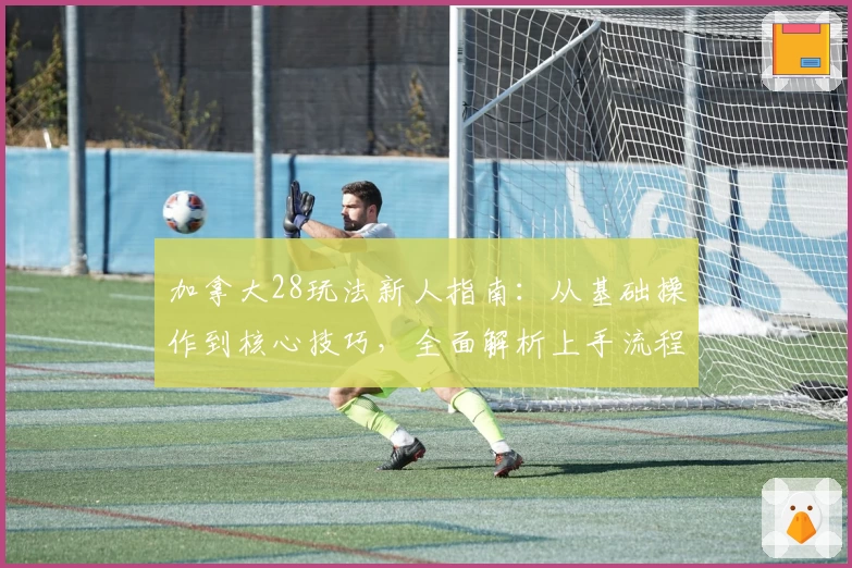 加拿大28玩法新人指南：从基础操作到核心技巧，全面解析上手流程与使用体验